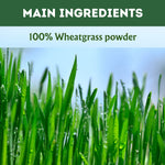 Thumbnail for Herbal Hills Wheat-O-Power Wheatgrass Powder - Distacart