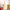 download - 2024-12-05T154128.642