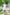 lavanya_grils_tee_and_skirt_set_cover