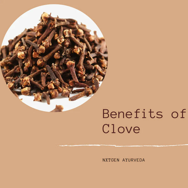 Clove is commonly used in cooking to add flavor and aroma to dishes