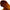 Alanna Choconutty Lip Scrub Online