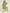 Janasya Dark Cotton Floral A-Line Dress