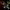 flower_284