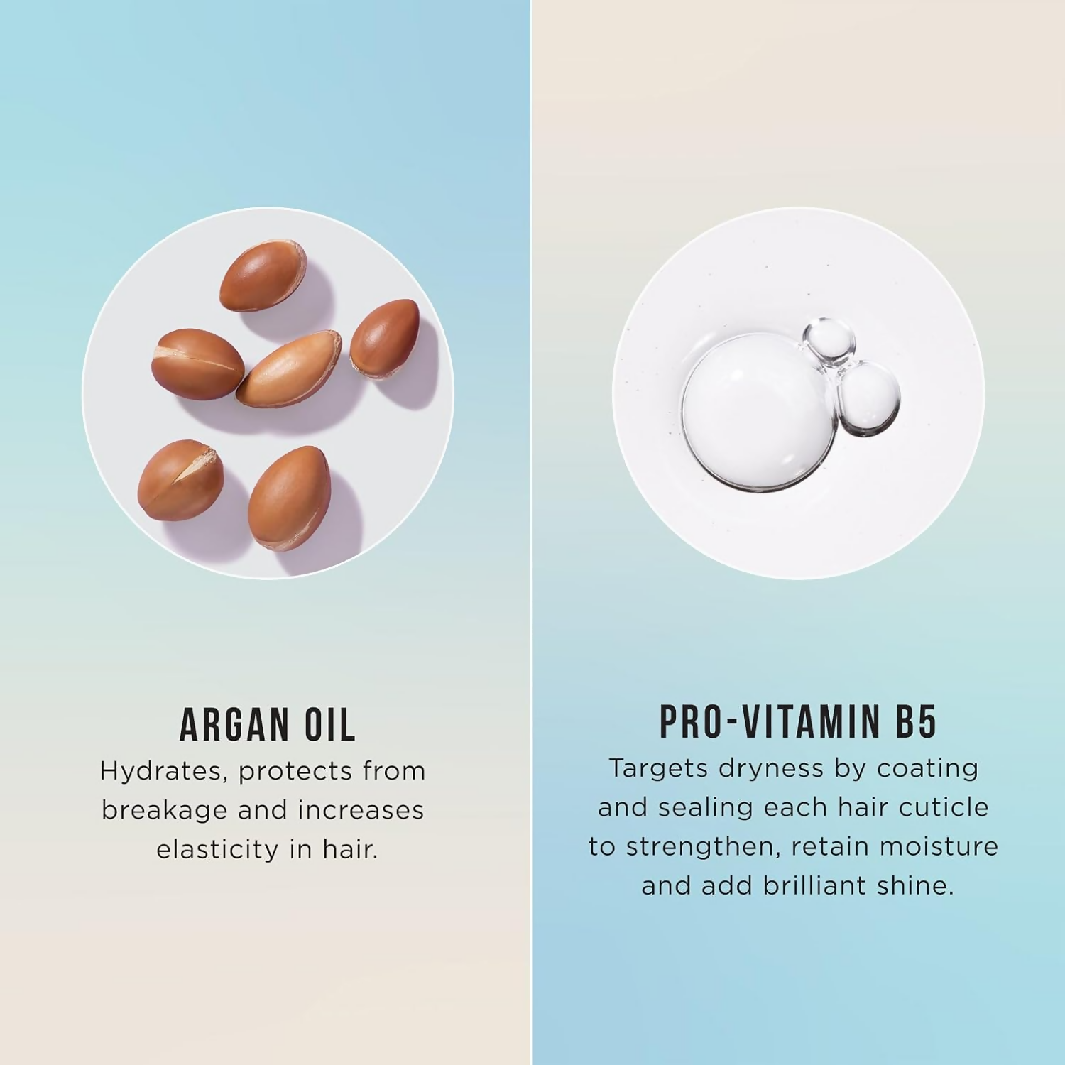 HASK Repairing Argan Oil Shampoo & Conditioner - Distacart