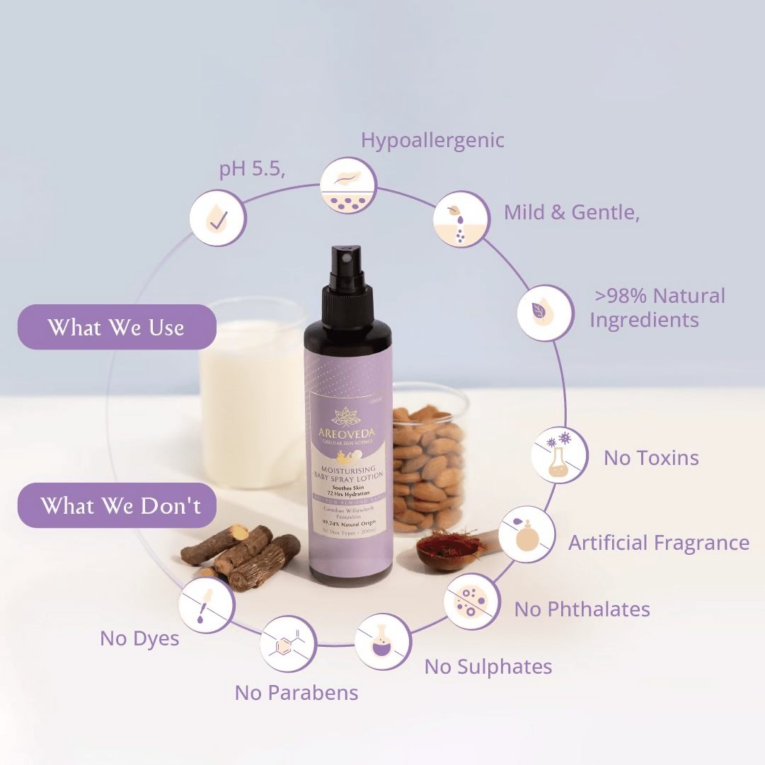 download - 2024-11-13T150133.451