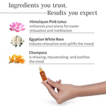 Thumbnail for Shankara by Sri Sri Tattva Essence Lotus Rose - Distacart