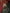 flower_293