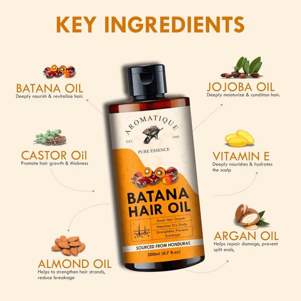 download - 2024-11-08T132939.309