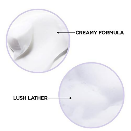 download - 2024-12-19T180310.781