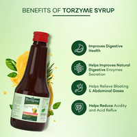 Thumbnail for Torque's Torzyme Natural Protein Syrup