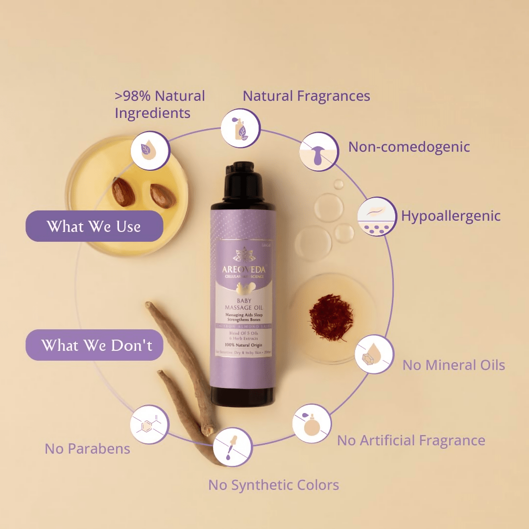 download - 2024-11-13T125357.146