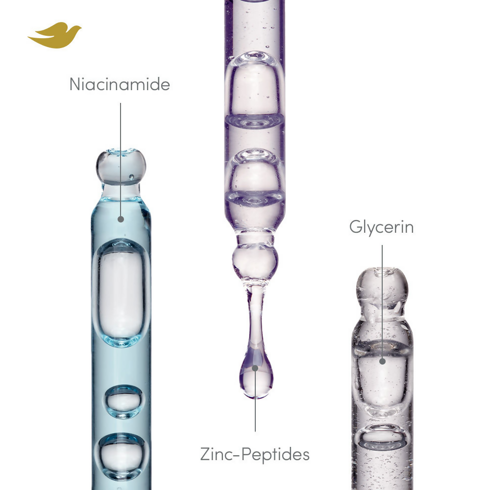 download - 2024-11-12T113739.047