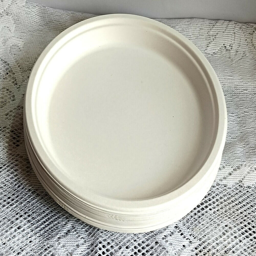 Disposable Round Plane Plates Big - Distacart