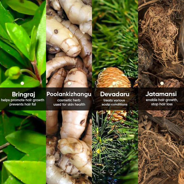 download - 2025-01-30T134116.720