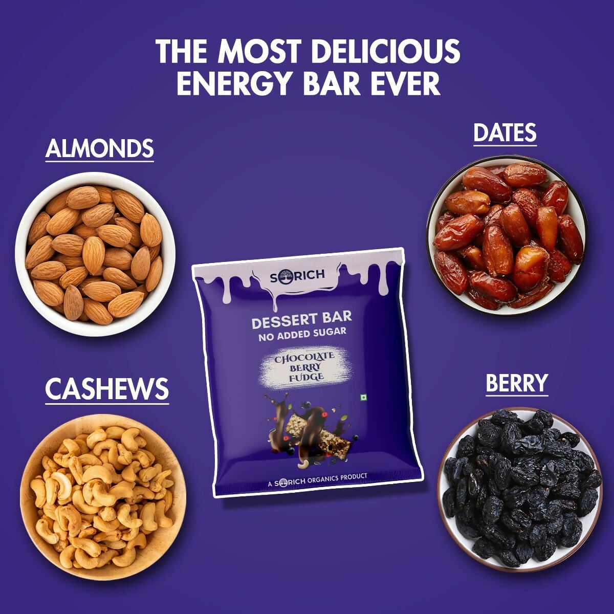 Sorich Organics Dessert Protein Mini Bars Chocolate Berry Fudge - Distacart