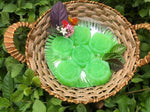 Thumbnail for Duh Exotica – Anti Fungal / Anti Bacterial Soap - Limited Time Offer - Distacart
