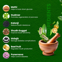 Thumbnail for Sheopal's Herbal Diabdex Diabetes Capsules