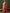 Sangria Woven Design Kurta & Trouser With Dupatta - Distacart