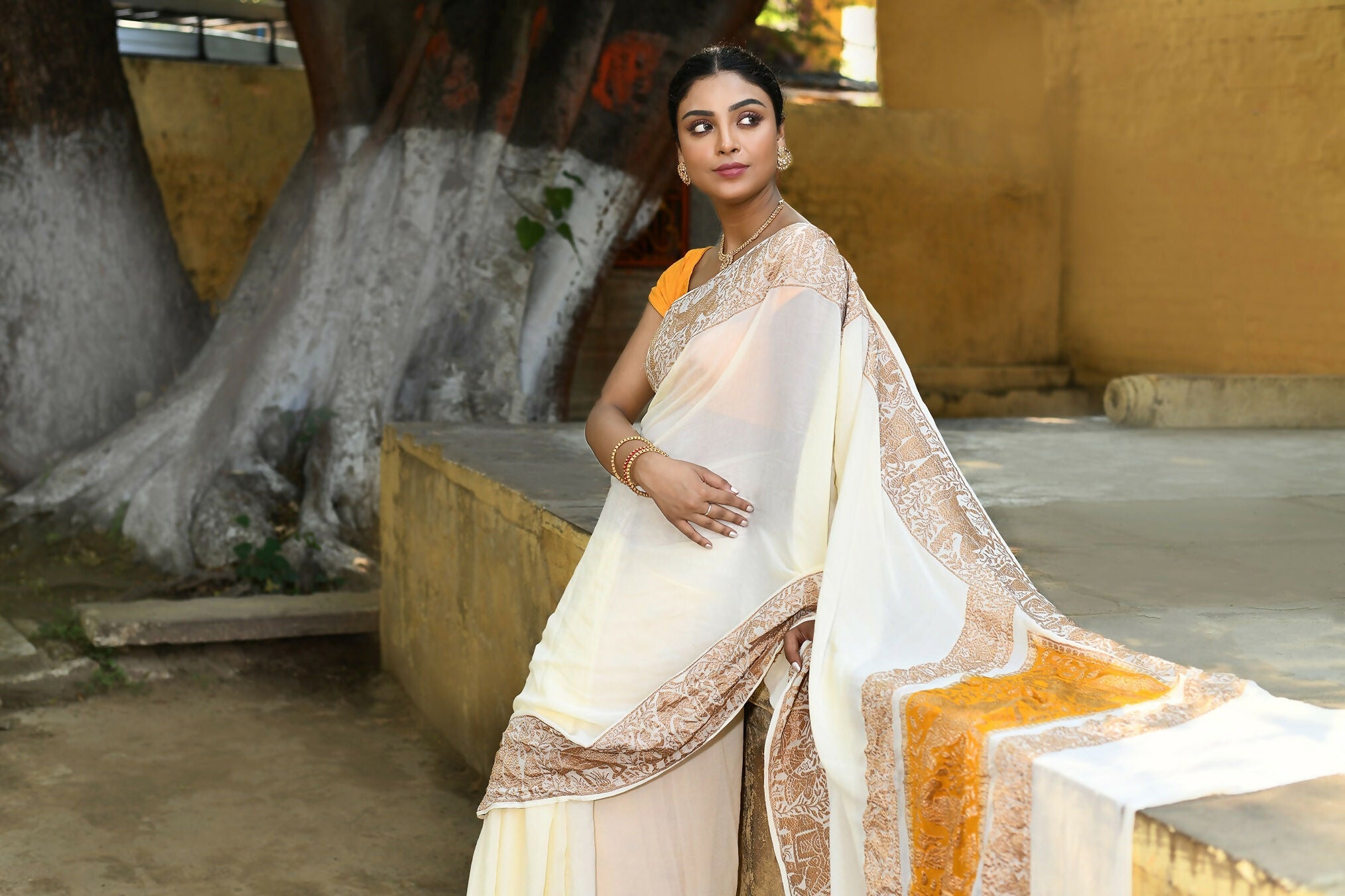 Joban Fashion Cream Crepe Chiffon Pure Handloom Banarasi Silk Saree