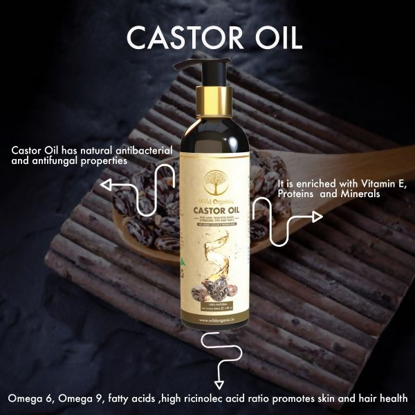 download - 2024-10-24T173244.240