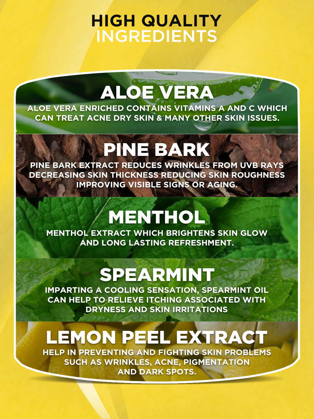 download - 2025-01-23T163324.846