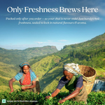 Thumbnail for download - 2025-07-17T130219.129