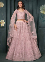 Thumbnail for Vegaa Fashion Designer Dusty Pink Net Embroidery Bridal Lehenga