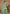 Vegaa Fashion Light Green Chinon Silk Embroidered Palazzo Suit