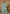 Vegaa Fashion Sea Green Chinon Silk Embroidered Palazzo Suit