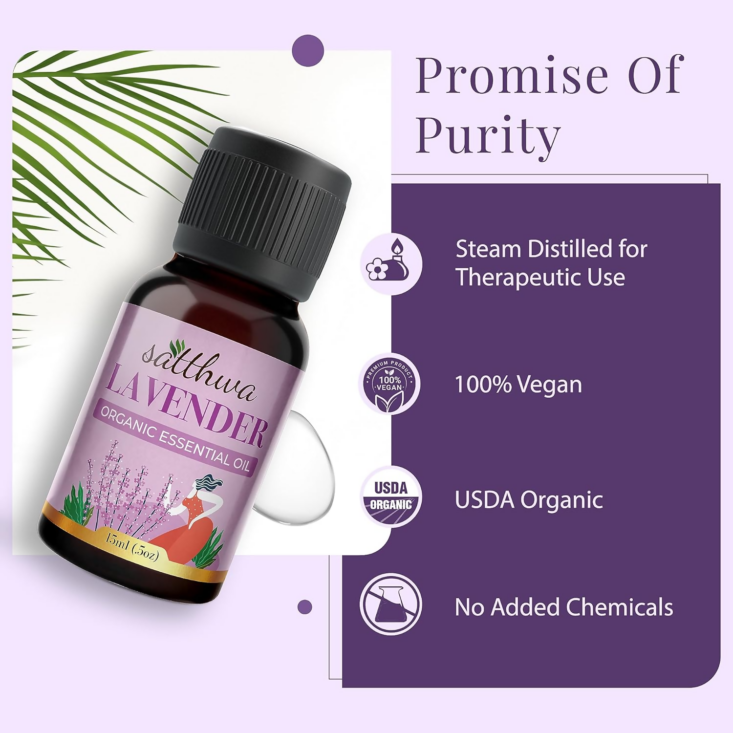 download - 2024-10-05T182641.546