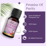 Thumbnail for download - 2024-10-05T182641.546