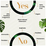 Thumbnail for download - 2024-11-19T180301.076