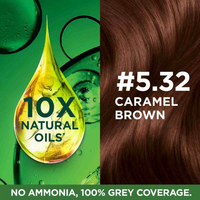 Thumbnail for Garnier Color Naturals Creme Riche Hair Color - Shade 5.32 Caramel Brown - Distacart