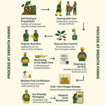 Thumbnail for bsQubWzuD3