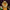 flower_285
