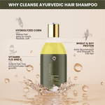 Thumbnail for download - 2024-11-05T155746.912