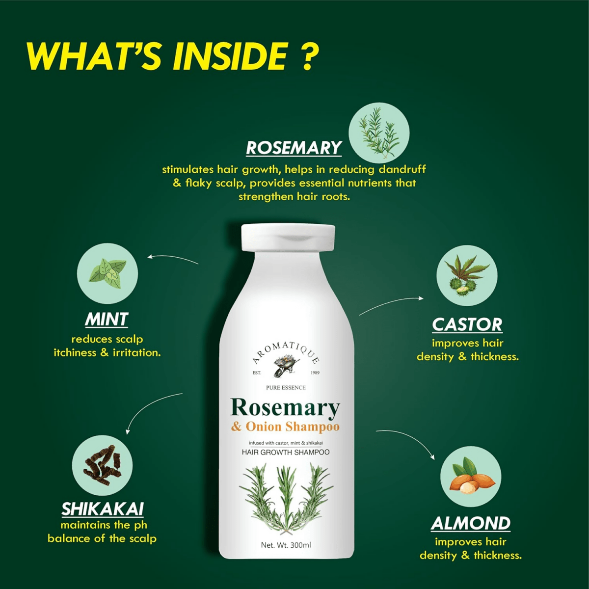 download - 2024-11-08T144347.419