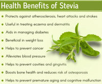 Thumbnail for The Indian Chai - Organic Stevia Leaves Tea - Distacart