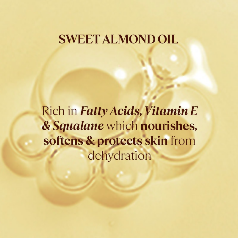 download - 2024-09-24T162228.774