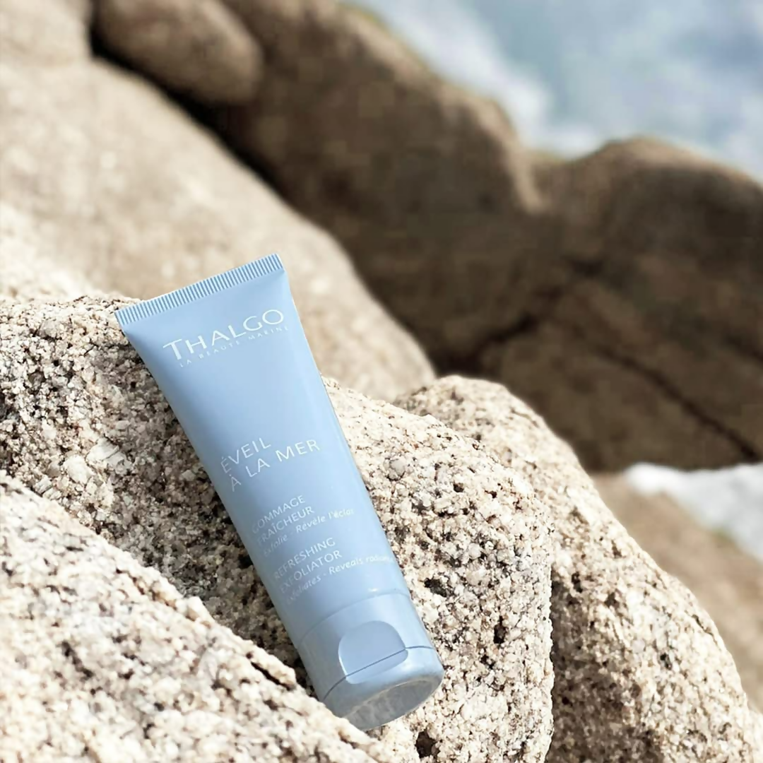 download - 2024-12-17T120641.769