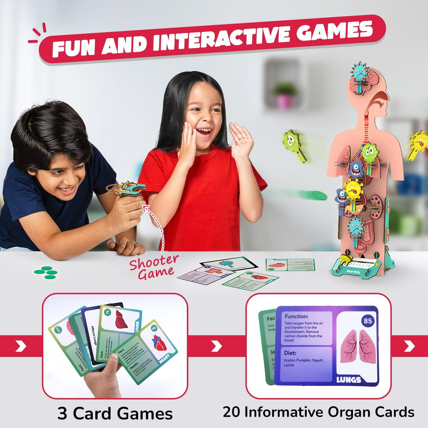 Smartivity Human Body Toy For Kids 6-12 Years Body Organs & Functions