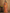 Vastranavya Orange Soft Paithani Silk Saree With Gold Zari Weaving Motifs With Matching Blouse Fabric - Distacart