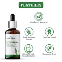 Thumbnail for Aravi Organic Rosemary Hair Growth Essential Oil - Distacart