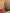 AURELIA Green Ethnic Motifs Cotton Maxi Dress