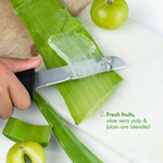 Thumbnail for download - 2025-02-12T130415.651 (1)