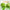 Alavi Graviola/Soursop Fruit Dry Powder Capsules - Distacart