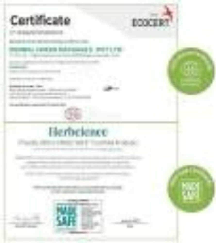 Herbcience Natural Glow Pro-Collagen Face Cream - Distacart