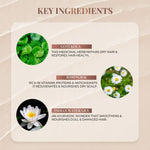 Thumbnail for Just Herbs Kumuda Indian White Waterlily Hair Conditioner - Distacart