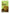 Organic Tattva Amchur (Dry Mango) Powder - Distacart