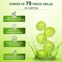 Thumbnail for Vansaar Amla Juice - Distacart